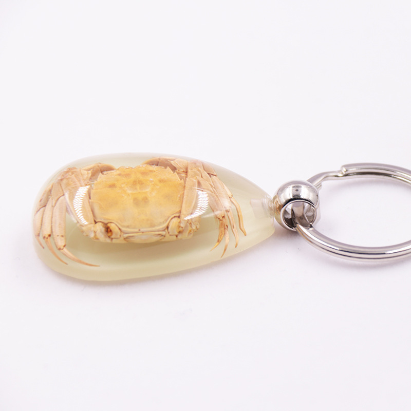 8932665179_1860590336