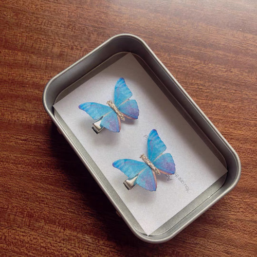 Summer Fairy Hair Clips with Dreamy Butterfly Design, Edge Clips for Girls, Duckbill Hair Accents, Bangs Hairpin, Photo Accessories