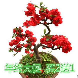 �ذ꺣�Ļ��绨�������辰�Ϙ��҃����^���Gֲ��ͥԺ�̨�ļ��_��