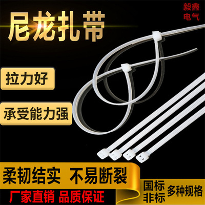 Self-locking nylon cable ties 3*80/3*150/4*200/5*/150/8*500 Plastic Cable ties Bundled with