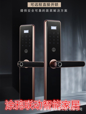 三汉指纹锁全自动家用防盗门一握即开民宿涂鸦智能门锁密码智能锁