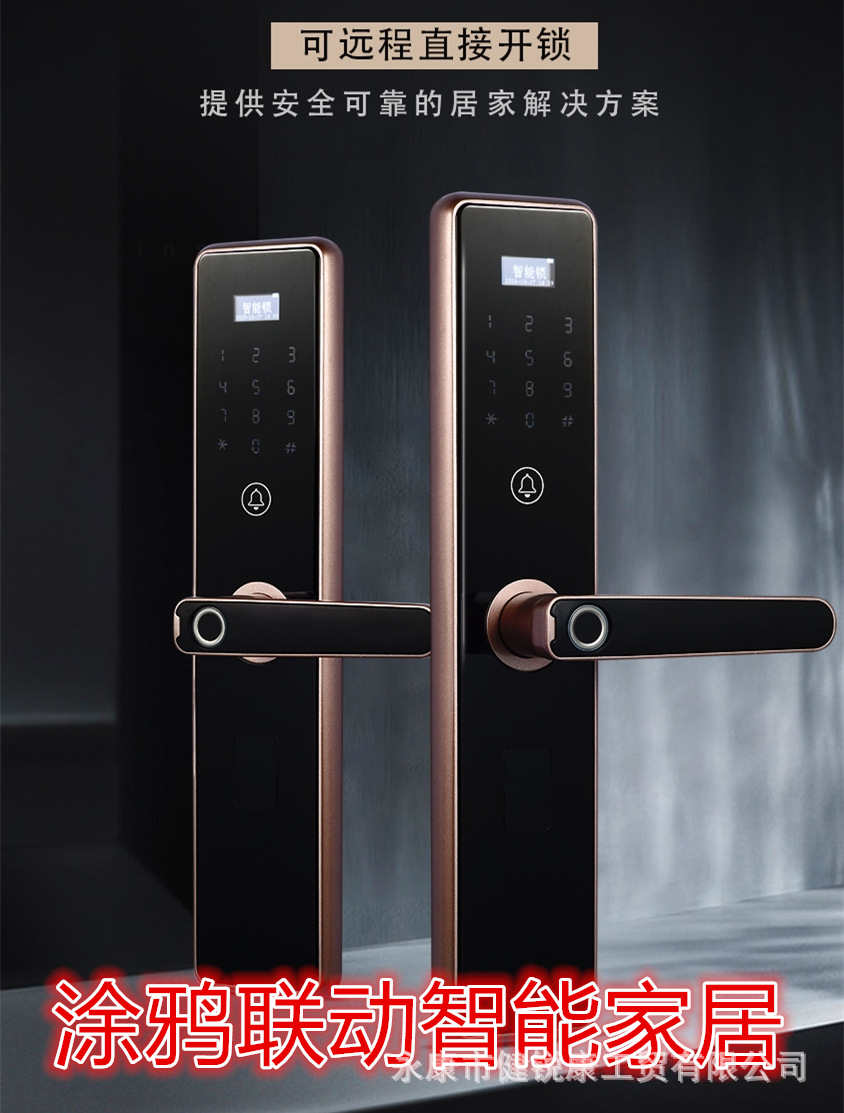 三汉指纹锁全自动家用防盗门一握即开民宿涂鸦智能门锁密码智能锁