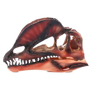 �߾��Ș�֬��ˇƷչ�[��ģ�;ӼҔ[���p���������^�ǘ�֬���t�^