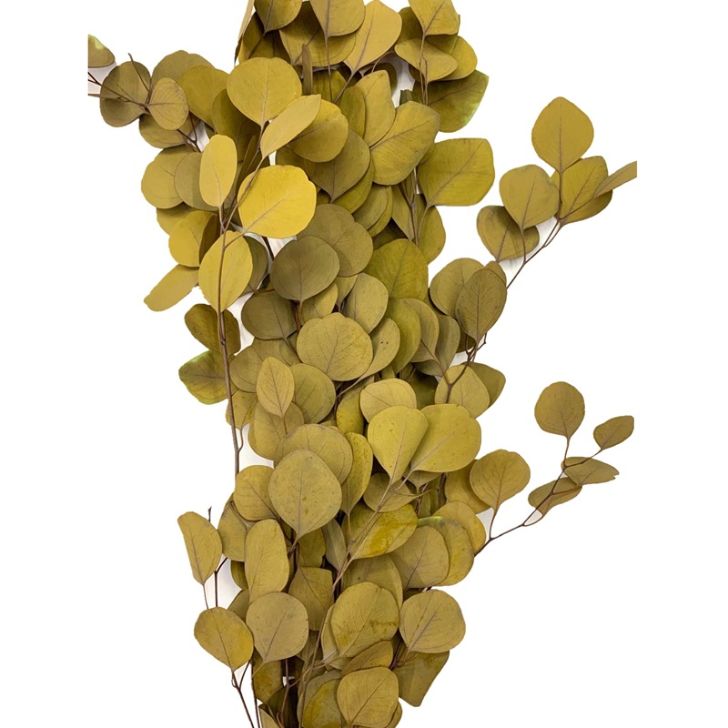 微信图片_20200414161909