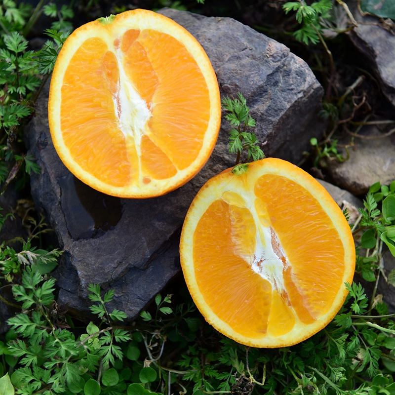 秭归脐橙纽荷尔长虹脐橙非现摘出售果品新鲜美观口感佳水分足|ms