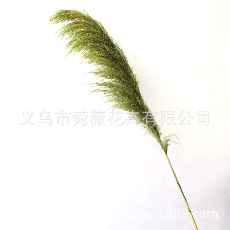 微信图片_20201122135105