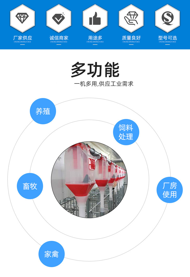 详情_02