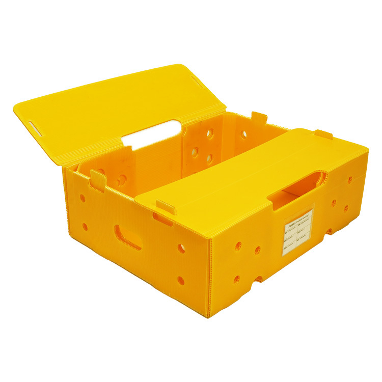 厂家批发中空板周转箱 中空板箱瓦楞板塑料万通板 塑料瓦楞箱