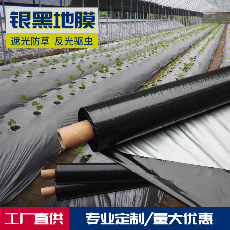Black film Polyethylene Film plant Weed Antifreeze shading Plastic black and white Double color Reflective Agriculture Film