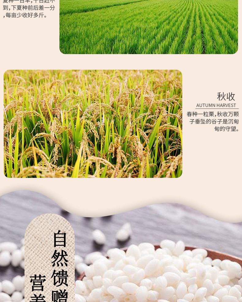 30、有机糯米详情页_05