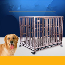 ���\�Ӵ������͹��\��ë�_ĦҮȮ�\�Ӵַ�ҧ����\�������\