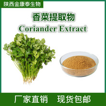 香菜提取物 10:1 芫荽提取物 香菜粉 Coriander Extract 现货包邮