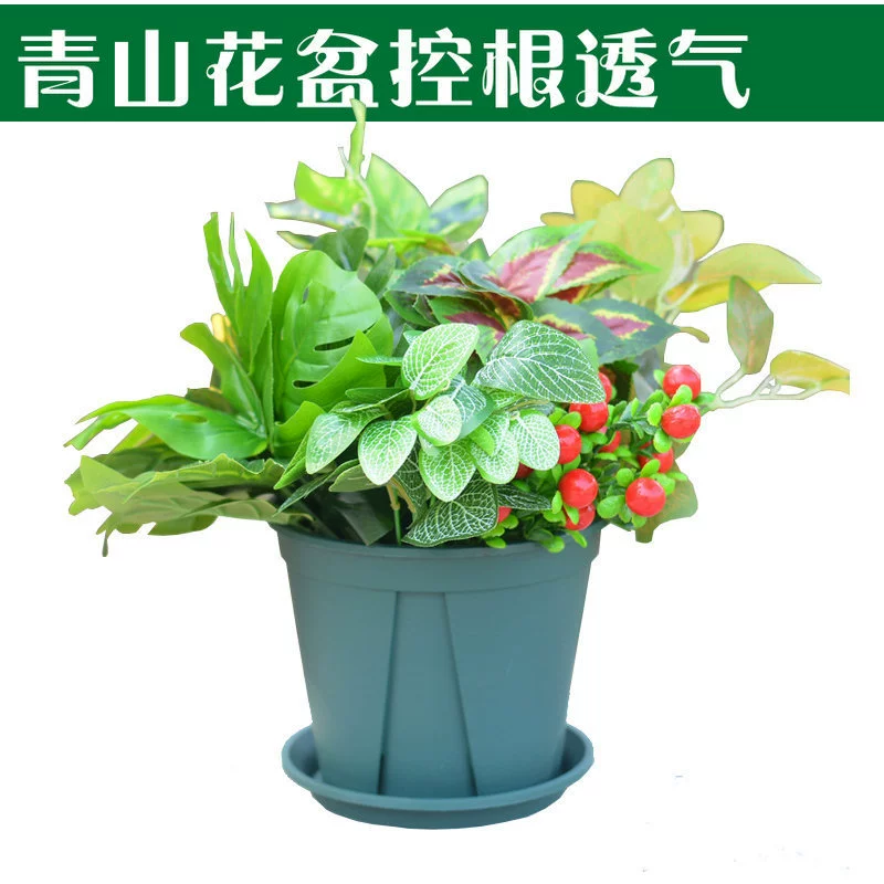 Новый высококачественный утолщенный зеленый горный бассейн корень управления бассейном Роза балкон Крытый Творческий полимерный цветочный горшок пластиковый зазор