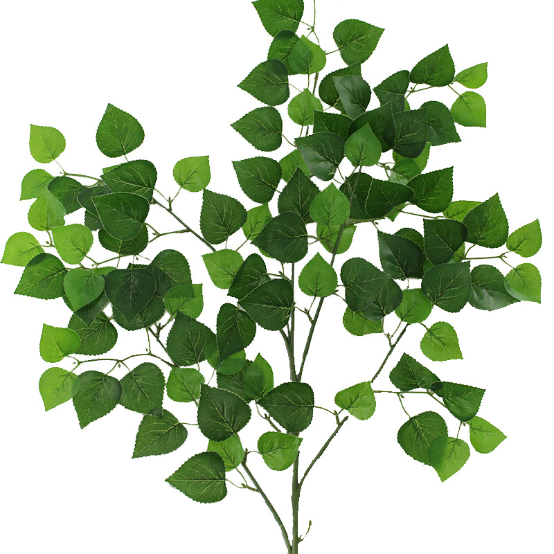 XRB-020 柏树叶五叉枝 (5).jpg