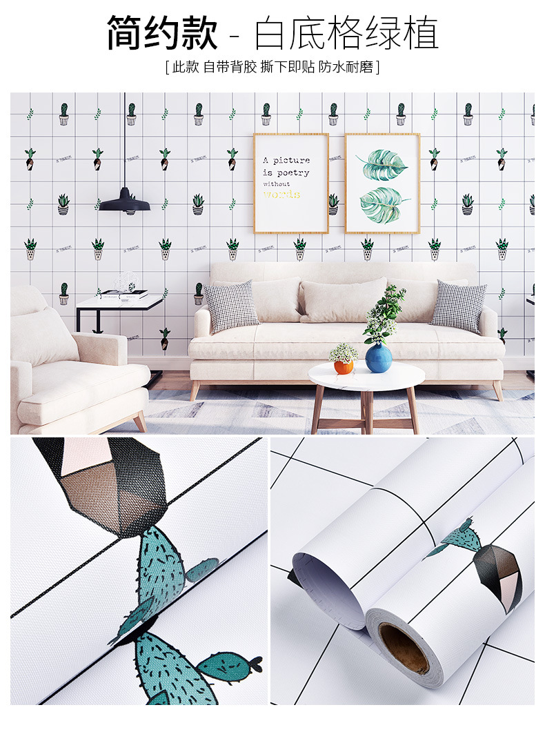 白底格绿植.jpg