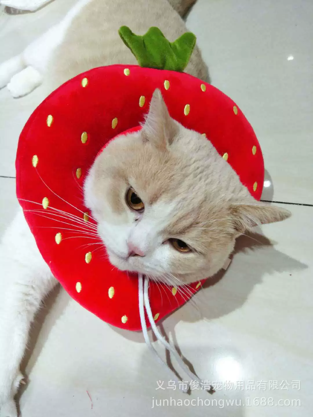 Регулируемое кольцо против лизания клубники и лимона Elizabeth для домашних животных на шнурке, стерилизация, крышка головы, кольцо позора, ткань, супер Мягкая Милая