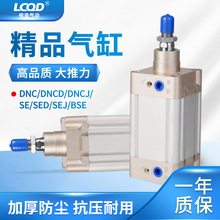 SE��׼DNC���32DSBC2?DNCB40-50-63-80-100-125-150-200-PPV-A