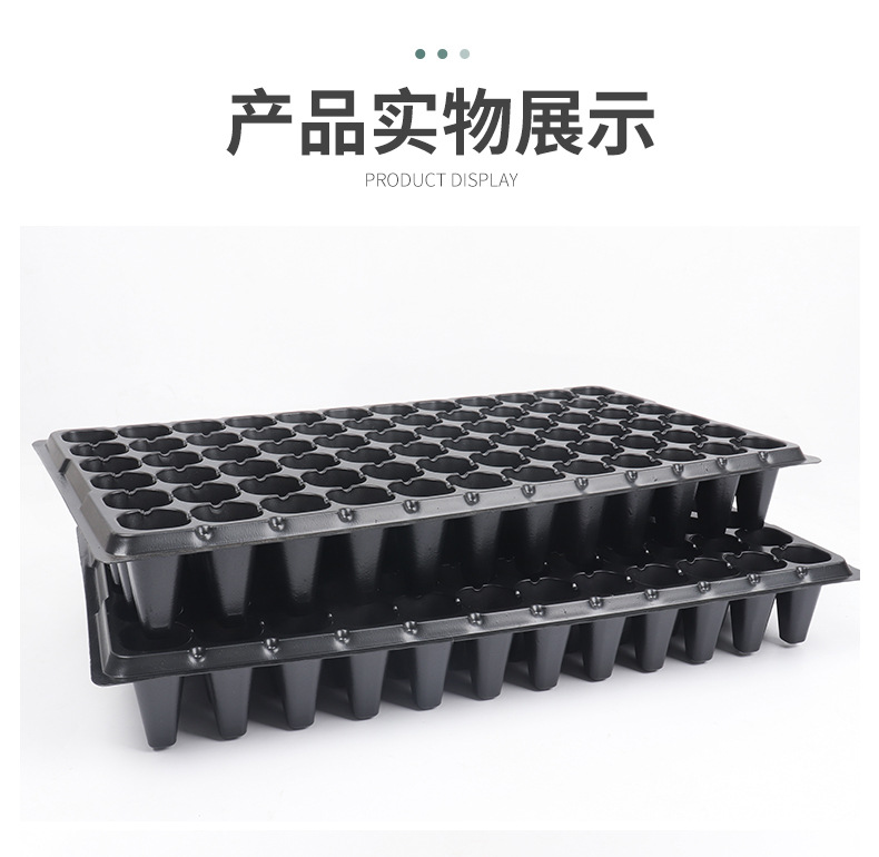 豆芽盘,育苗盘,芽菜盘,育苗穴盘,加厚育苗盘,72孔育苗盘,穴盘
