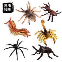 兒童仿真野生昆蟲動物模型套裝迷你蜘蛛楸型蟲蠍子蜈蚣獨角仙玩具
