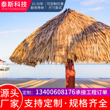 ����ֱ�������ȫ ����é�� PPR���� ���� ���� ��ͤ
