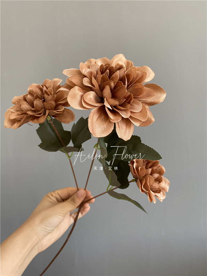 3 autumn colorful flowers
