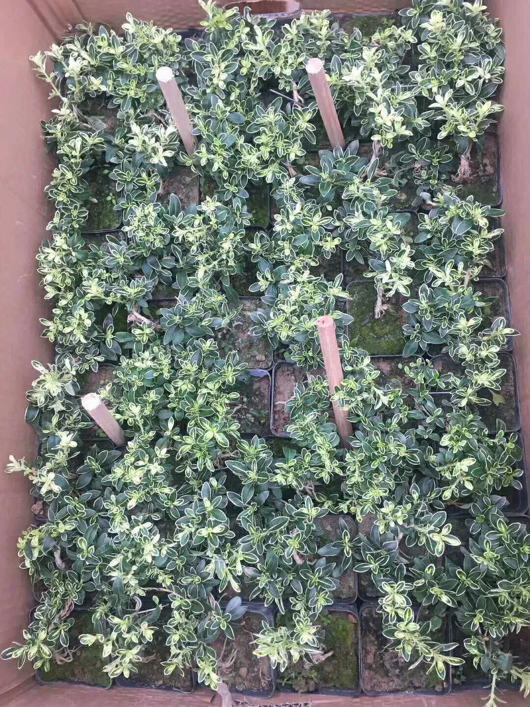 ΢��ͼƬ_202008291559531