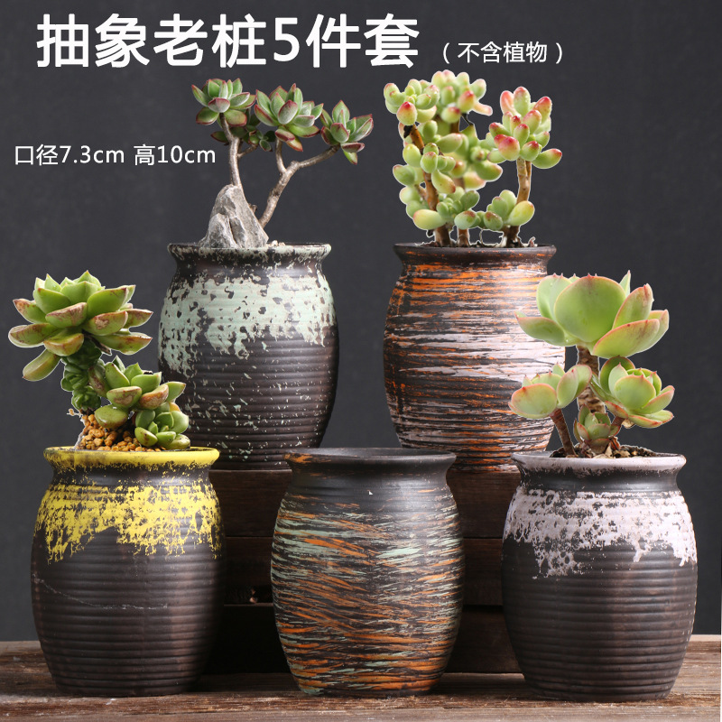 抽象老桩5件套