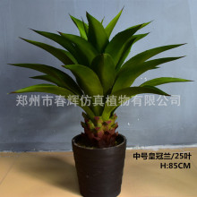 ���愦����愦�m�ʹ��m�����辰�Gֲ�͏d��ˇƷ�b[�����l