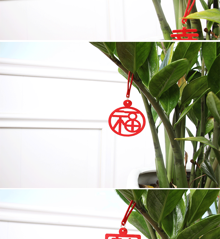 绿植挂件详情_03