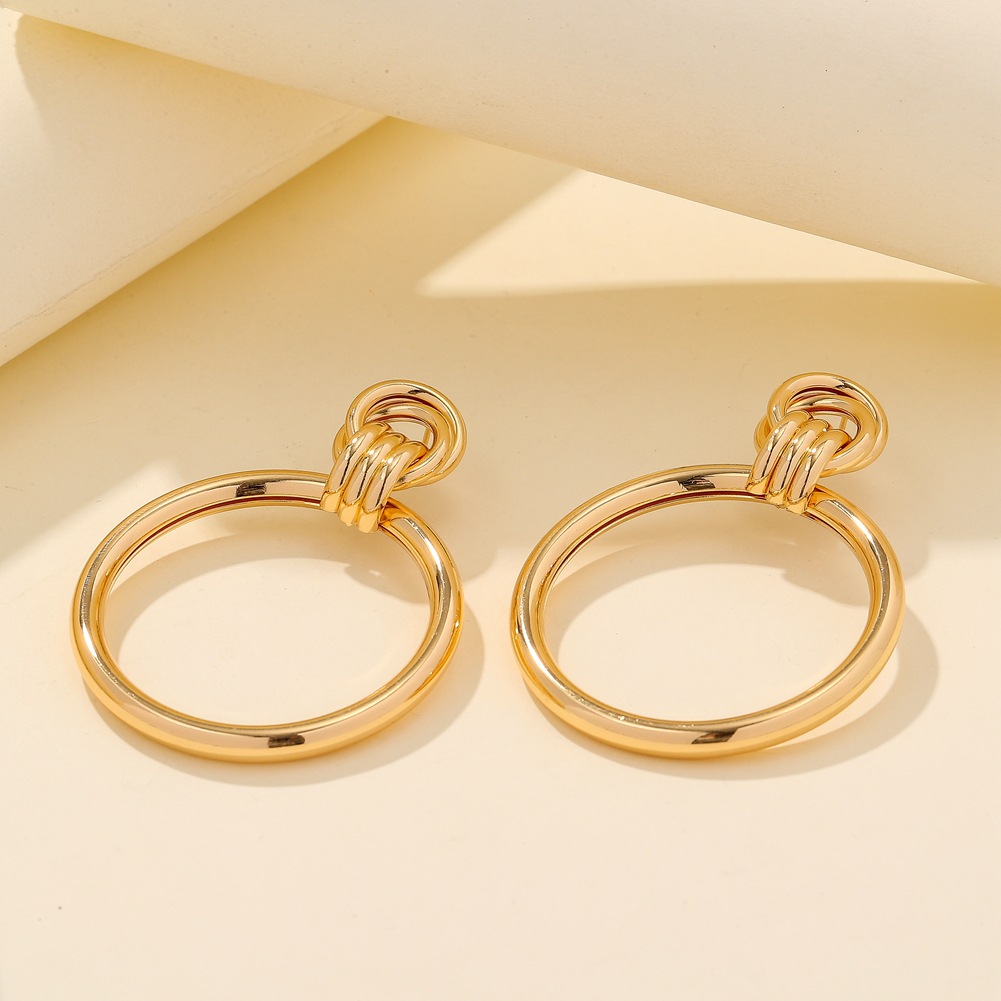 1 Pair Exaggerated Round Metal Plating Women's Drop Earrings display picture 6