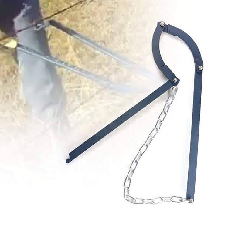 51WUcDY9RJL._AC_SX679_