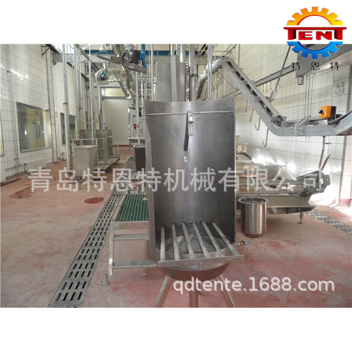 TENT牛头清洗机|牛屠宰设备|清洗|宰杀机械|青岛特恩特/厂家高效