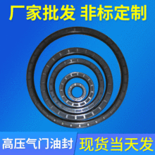 长期批发高压重型骨架油封 耐油骨架油封 液压油封马达油封