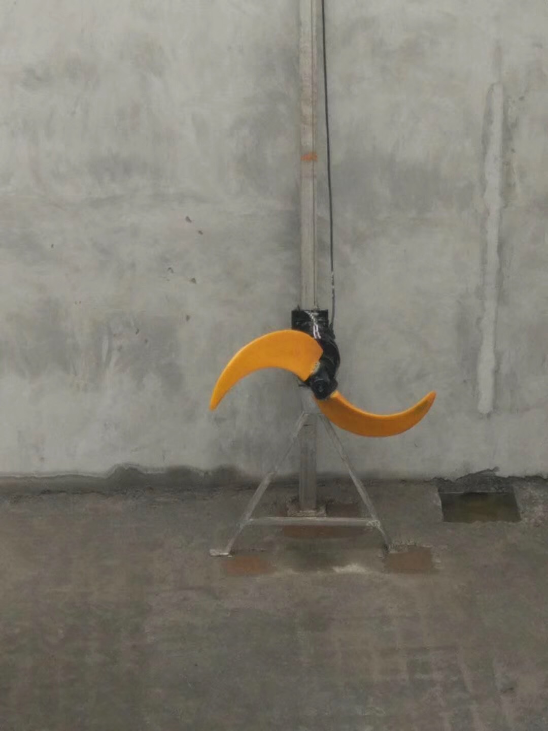 IMG_3949(20190414-013459)