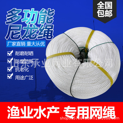 全新料渔网线绳聚乙烯合股绳尼龙大绳捆绑大棚压膜粗绳子晾衣绳子|ru