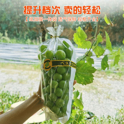厂家批发梯形纸质opp套袋蔬菜水果包装袋透明鲜花套袋葡萄套袋|ru