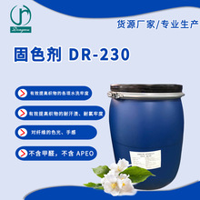 DR-230ɫ ɫζ ˮԹɫȾ·ӡȾ
