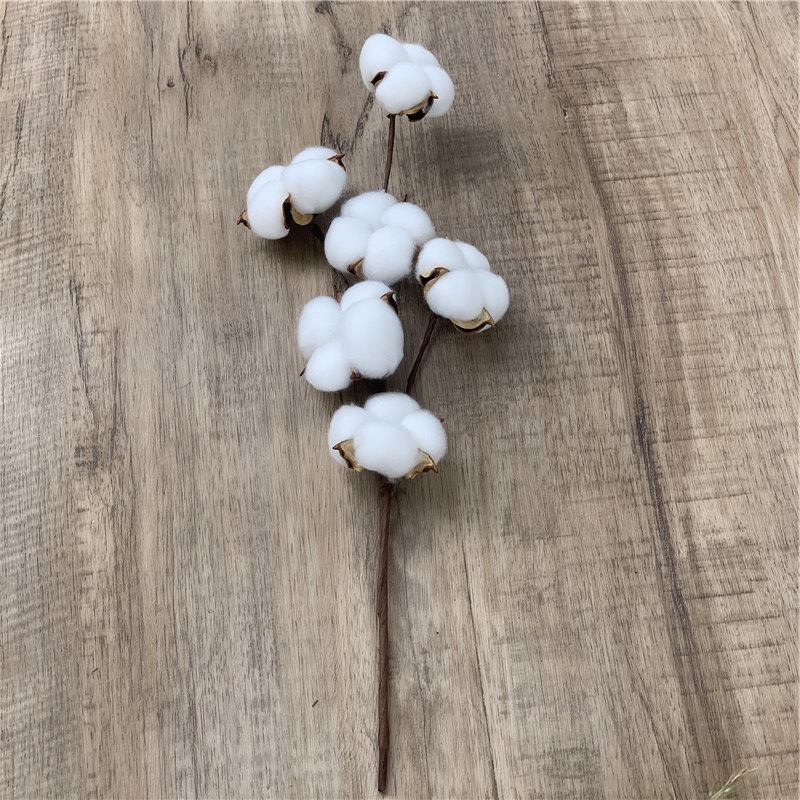 Eternal cotton dried flower art 6 single branches of simulation…