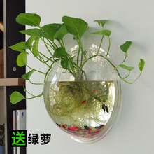 壁掛花瓶水培創意掛壁魚缸花瓶飾品牆上花盆吊蘭綠蘿垂吊吊籃大號