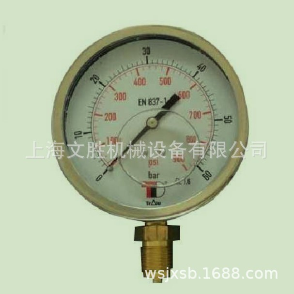 西班牙DICSA压力表MFI6304001V