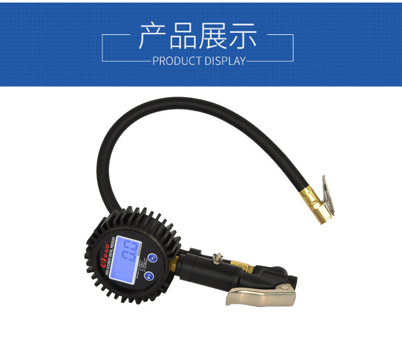 High-Precision Digital Tire Pressure Gauge Made of Zinc Alloy with Backlight and Multiple Units, Customizable