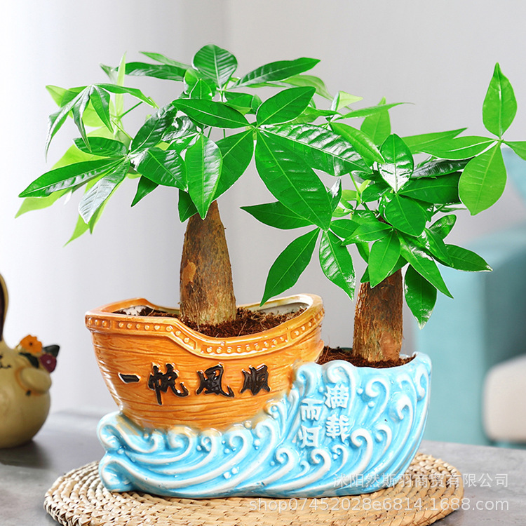 QQͼƬ20200803165916