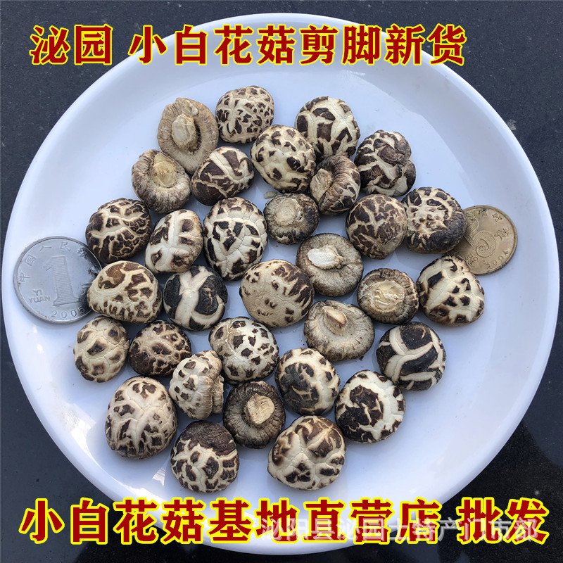 精选小花菇干货1.5cm 香菇肉厚短脚产地市场批发500g一件代发