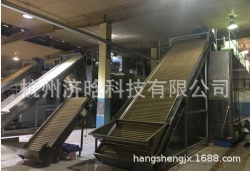 核桃蛋白粉,核桃多肽原浆,核桃乳,核桃夹心枣﻿生产线加工设备