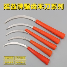 ��������X砵����P䓺�砸�ݵ���˵���²˺��˸�ˮ��С������