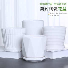 直筒花盆陶瓷圆柱大陶瓷花盆个性家居带托盘绿植白色蝴蝶兰盆包邮