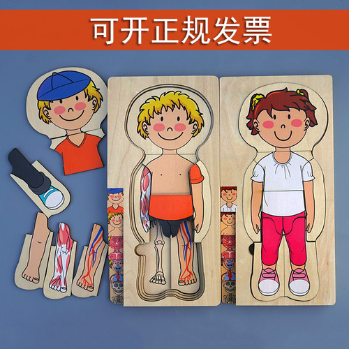 Solid wood multi-layer boy and girl human body structure puzzle kindergarten structure early education teaching aids laser burr-free