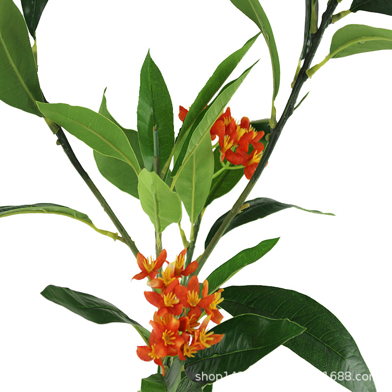 XRB-167 新桂花五叉枝立体4.jpg