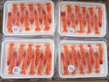 ��˾�r5L �ش�̖������˾�r ȥ�^��˾�r ��˾���팣�� ��ʳ�r