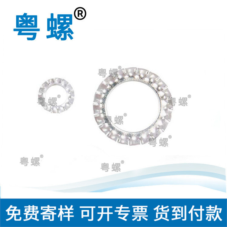  垫圈 外齿锁紧垫圈 量大从优 来图来样定做